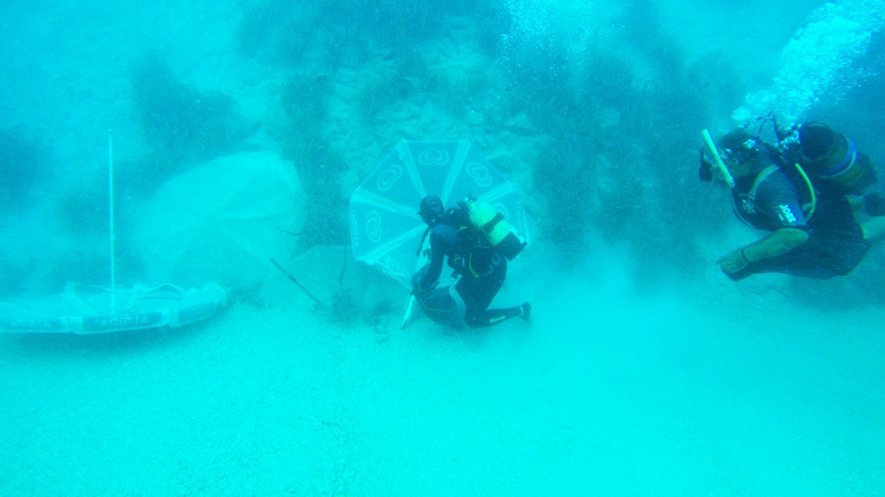 Dünyaca Ünlü Plajlarda Deniz Dibi Temizliği