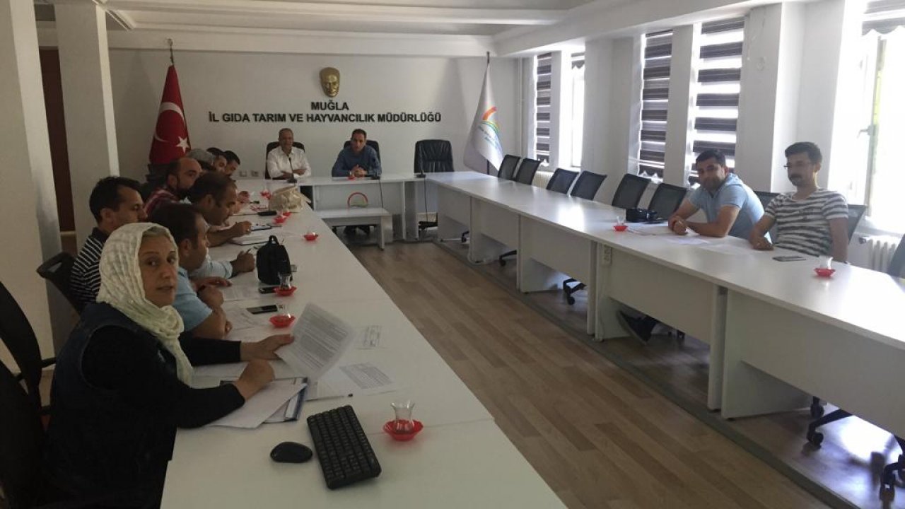 Islah Edilmiş Muğla Arısının Takibi Projesi 2. Etabı Başladı