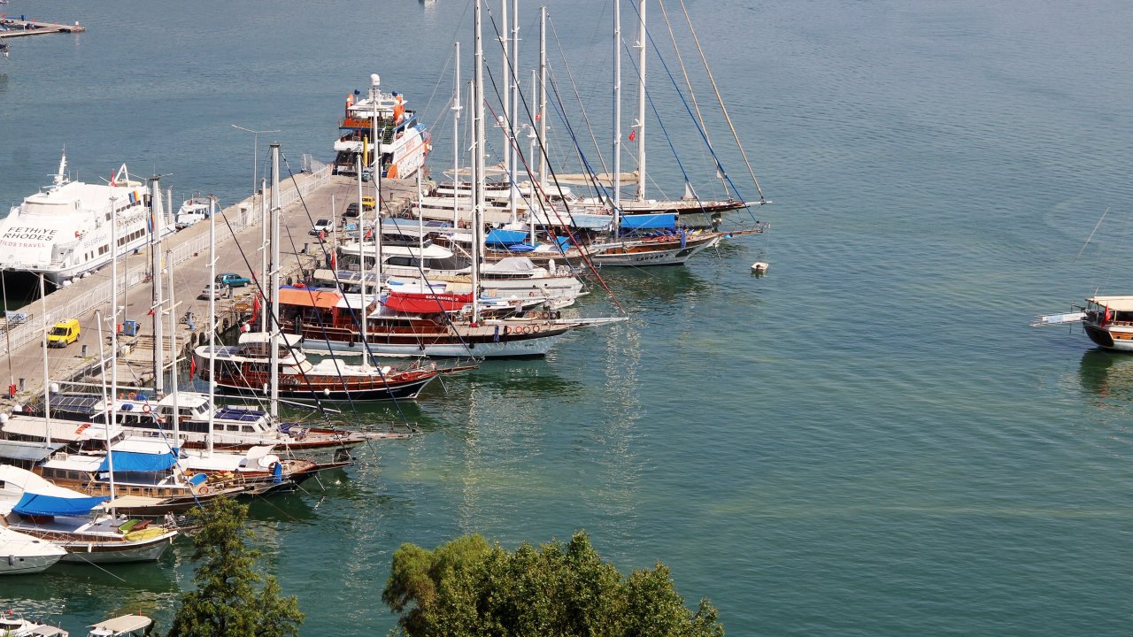 Denizin Renginin Alg Patlamasından Dolayı Değiştiği Ortaya Çıktı