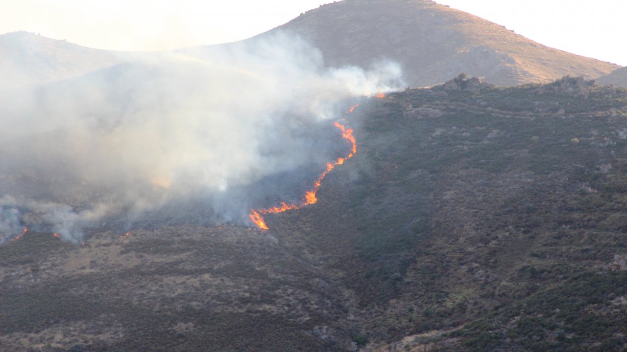 Bodrum’da Korkutan Yangın