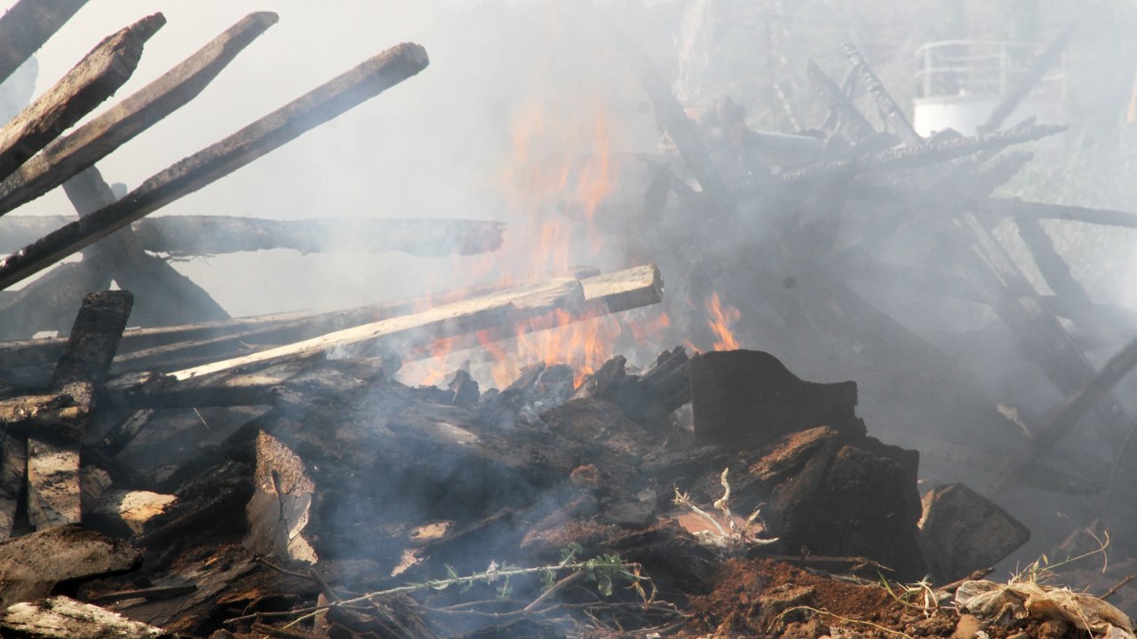 Zeytinlik ve Kereste Deposu Kül Oldu
