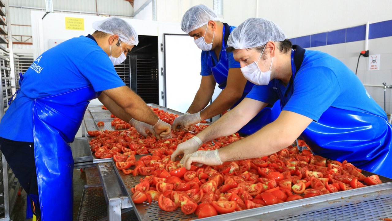 Büyükşehirden Ürünlerin Ömrünü Uzatan Tesis