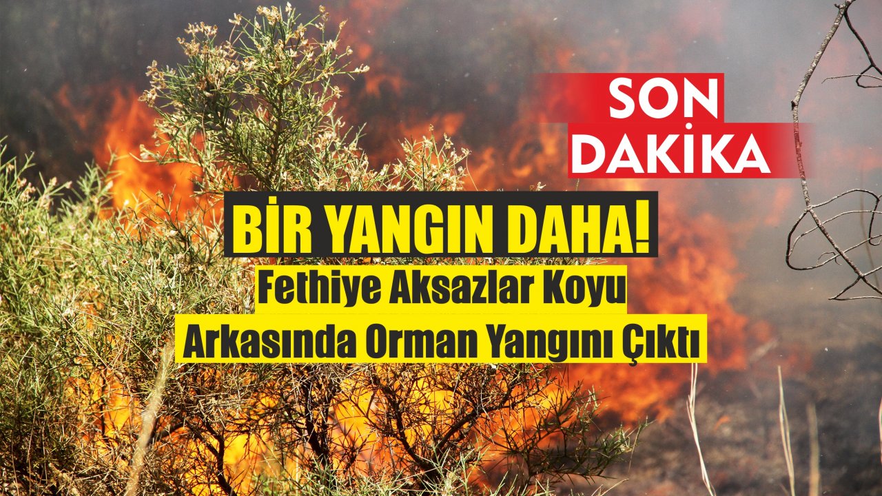 Son Dakika-Fethiye Aksazlar Koyu Arkasında Orman Yangını Çıktı