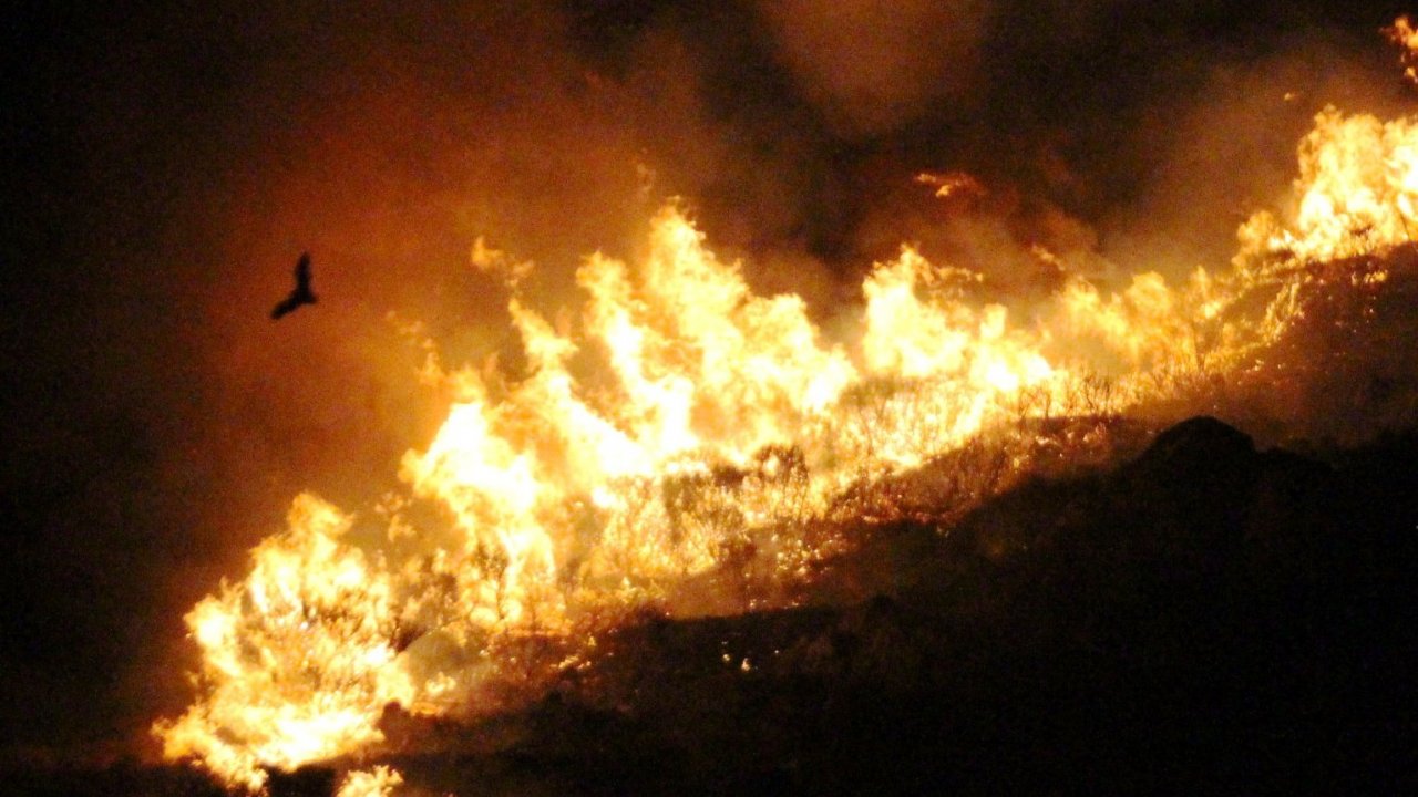 BİR YANGINDA BODRUM'DA !