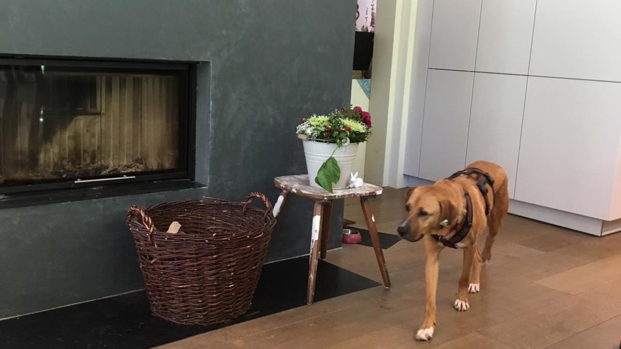 Barınaktan Malikâneye Yolculuk  