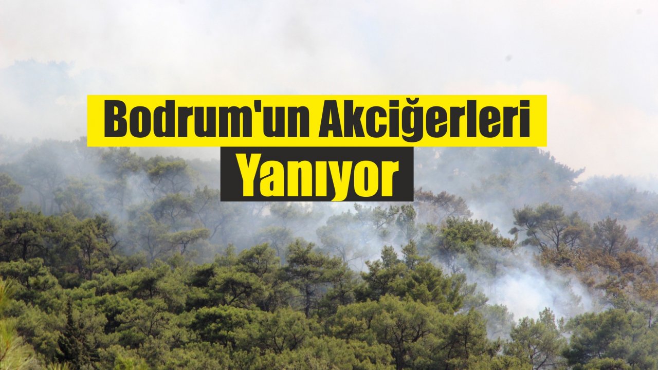 Bodrum'un Akciğerleri Yanıyor