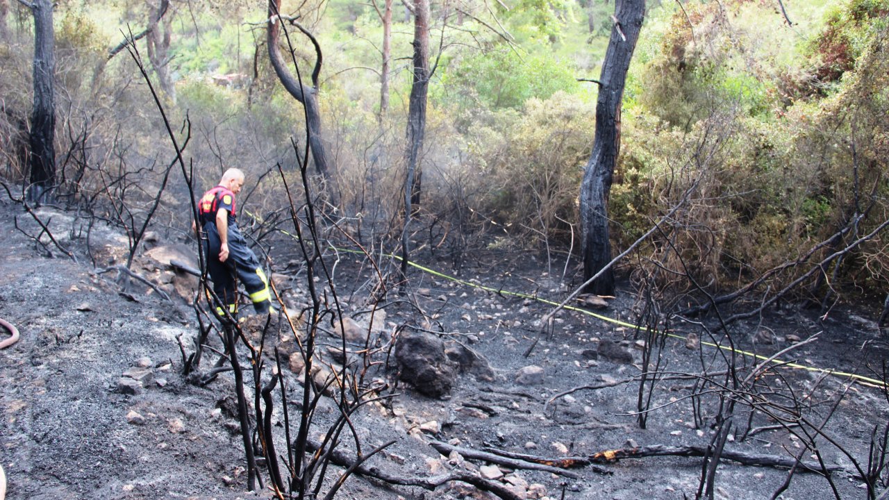 Bodrum’daki Orman Yangını Söndürüldü