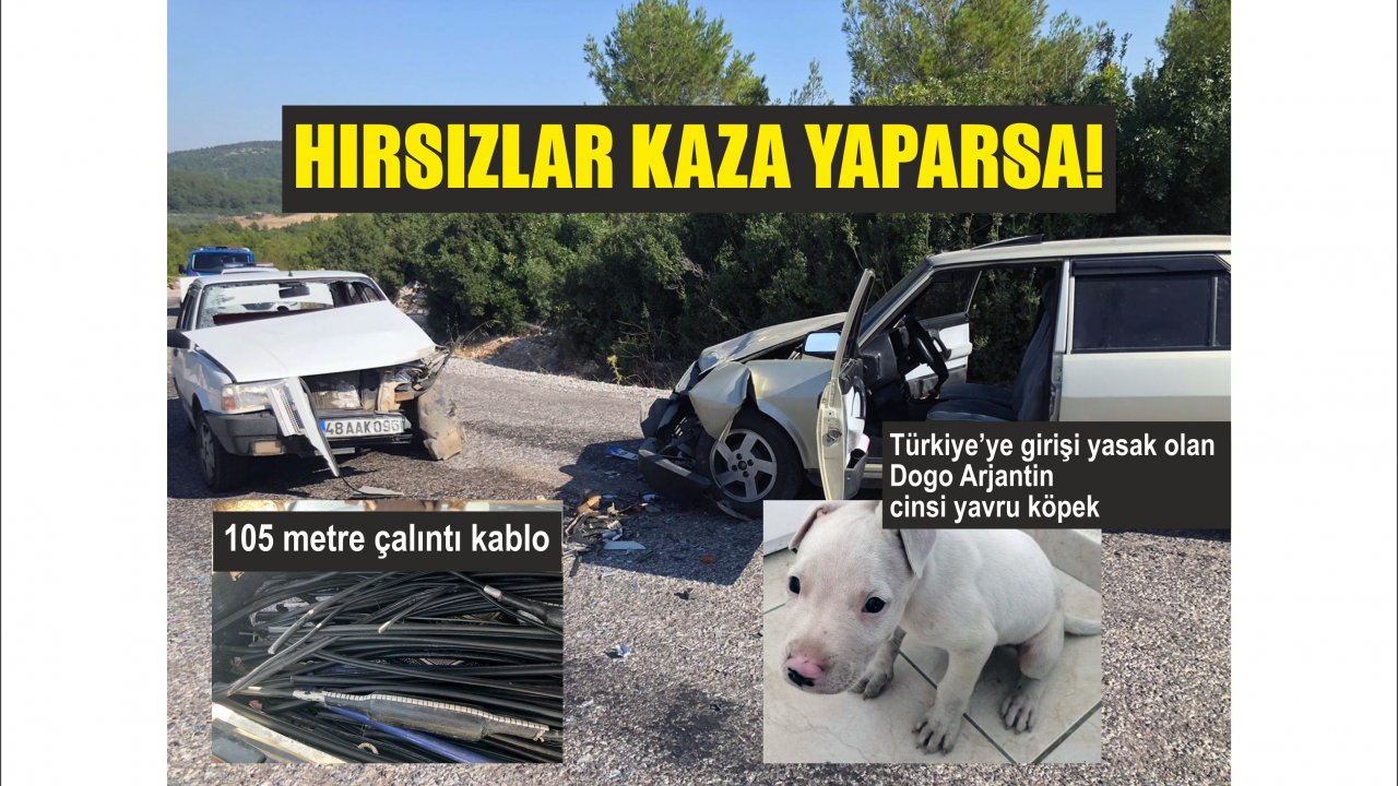 Hırsızlık Zanlılarının Oyununu Kaza Bozdu  