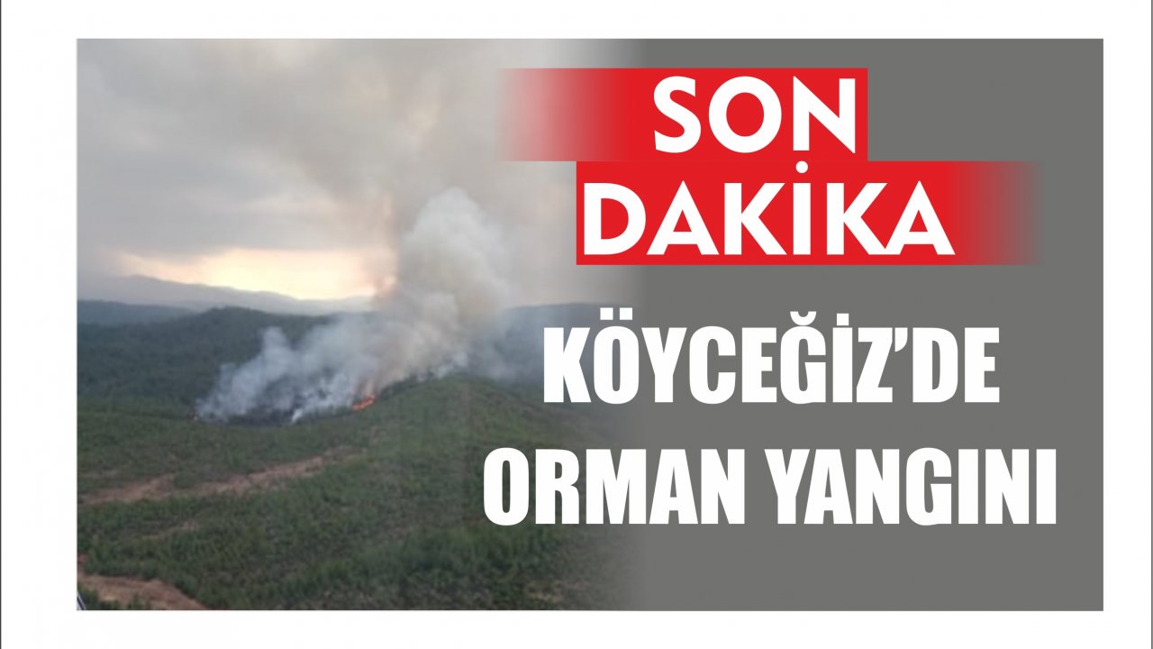 Köyceğiz’de Orman Yangını