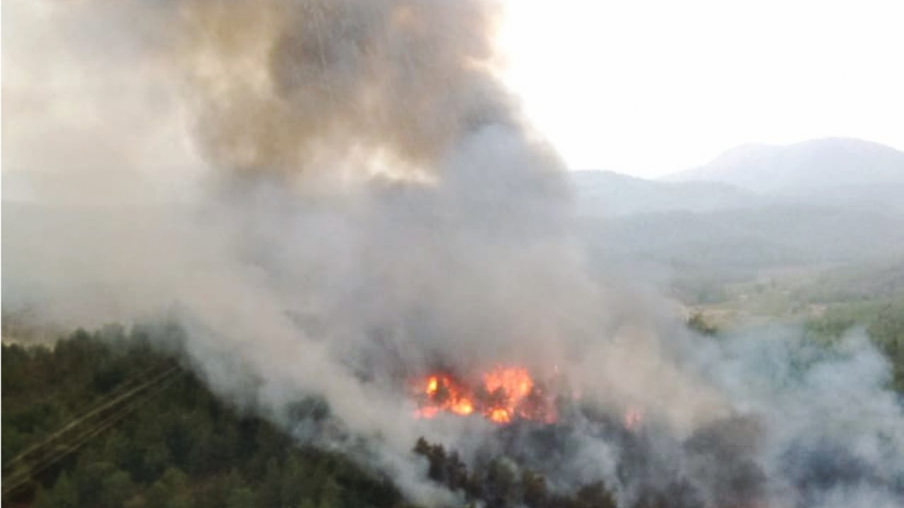 Muğla ve Aydın'da 'Yıldırım' Yangınları  
