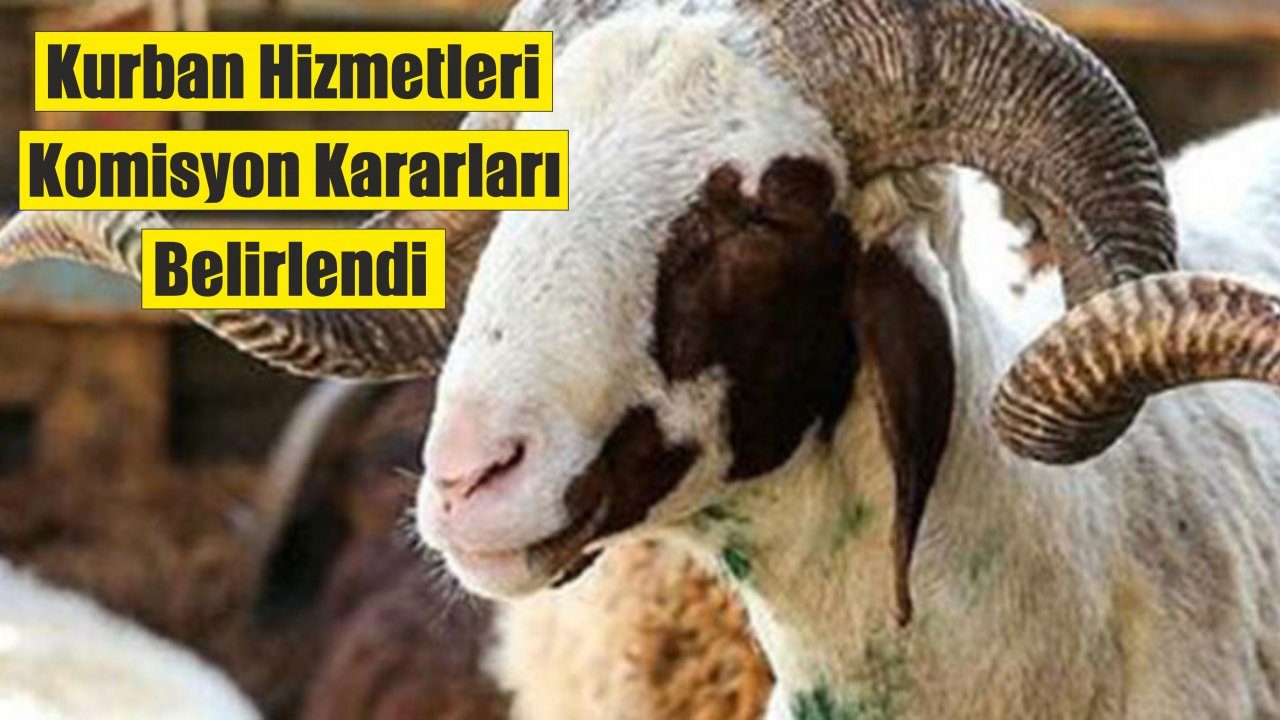 Muğla Valiliği Kurban Hizmetleri Komisyon Kararları Belirlendi