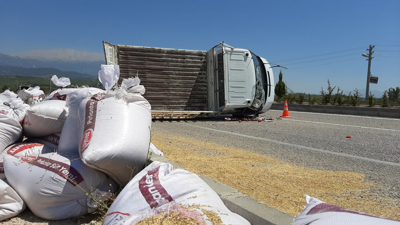 Arpa Yüklü Kamyonet Devrildi