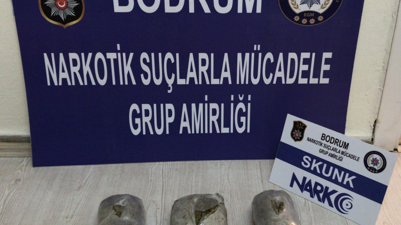 Narkotik Köpeği ‘Molly’den Kaçamadılar