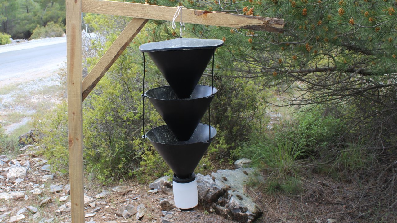 Orman Zararlılarına Karşı 3 Bin Tuzakla Mücadele Veriliyor