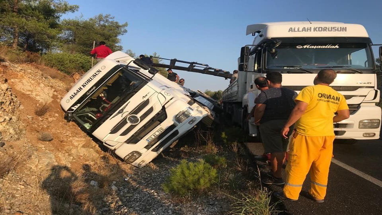 Tomruk Yüklü Tır Devrildi
