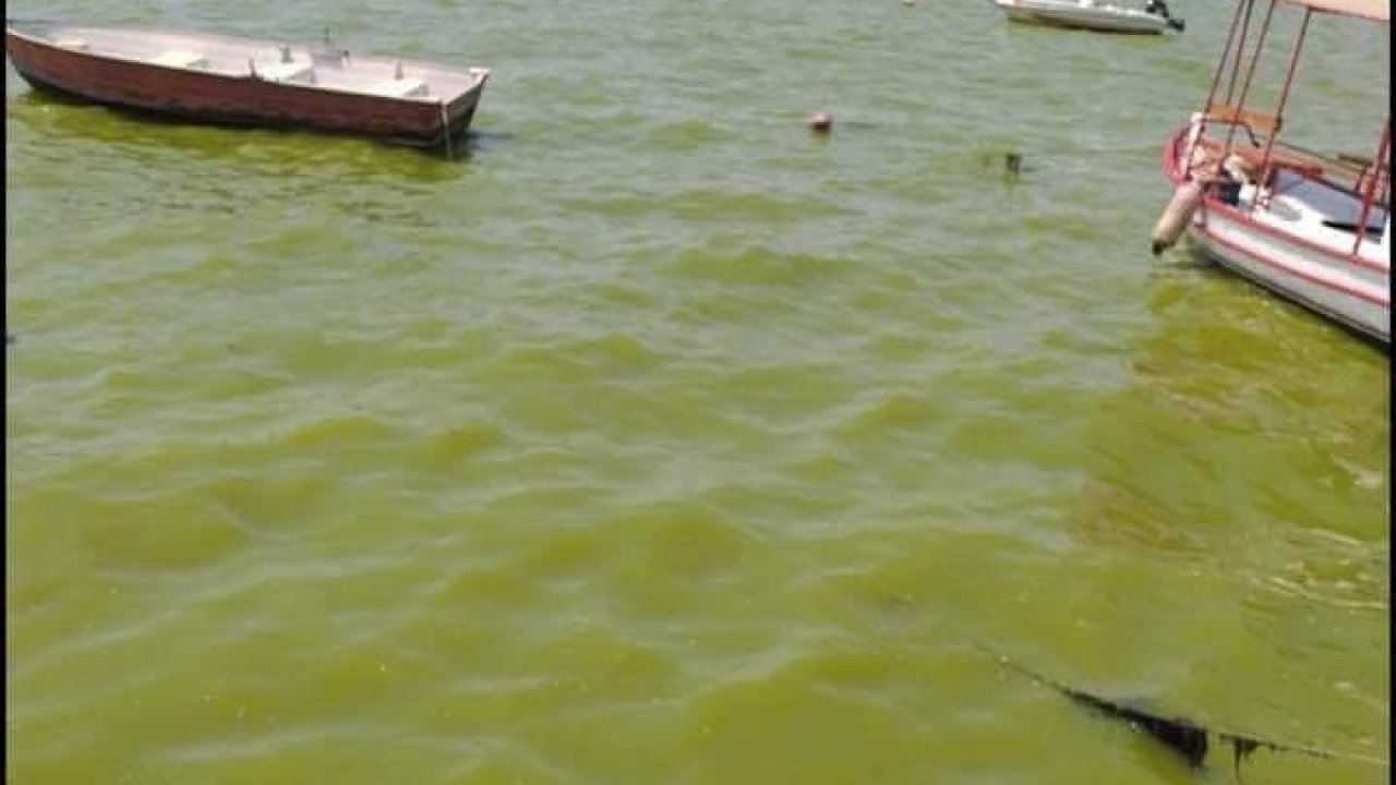 KÖRFEZ'DE SULAR DURULMUYOR