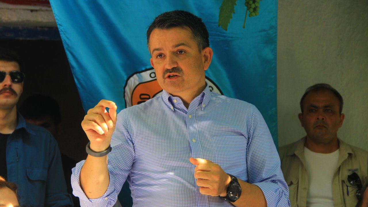 Tarım ve Orman Bakanı Pakdemirli:   “Yanan Alanlar İmara Konu Olamaz”  