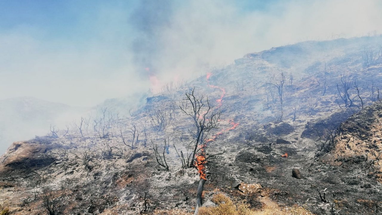 Datça’da 5 Dönüm Makilik Alan Yandı