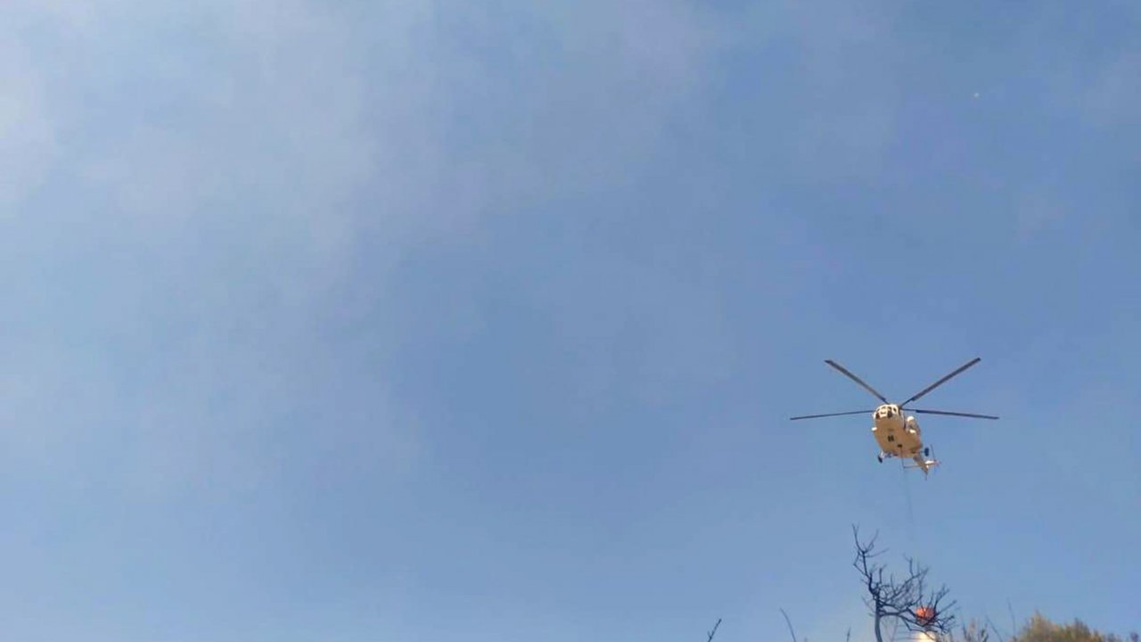 Milas’ta Zeytinlik Alanda Yangın