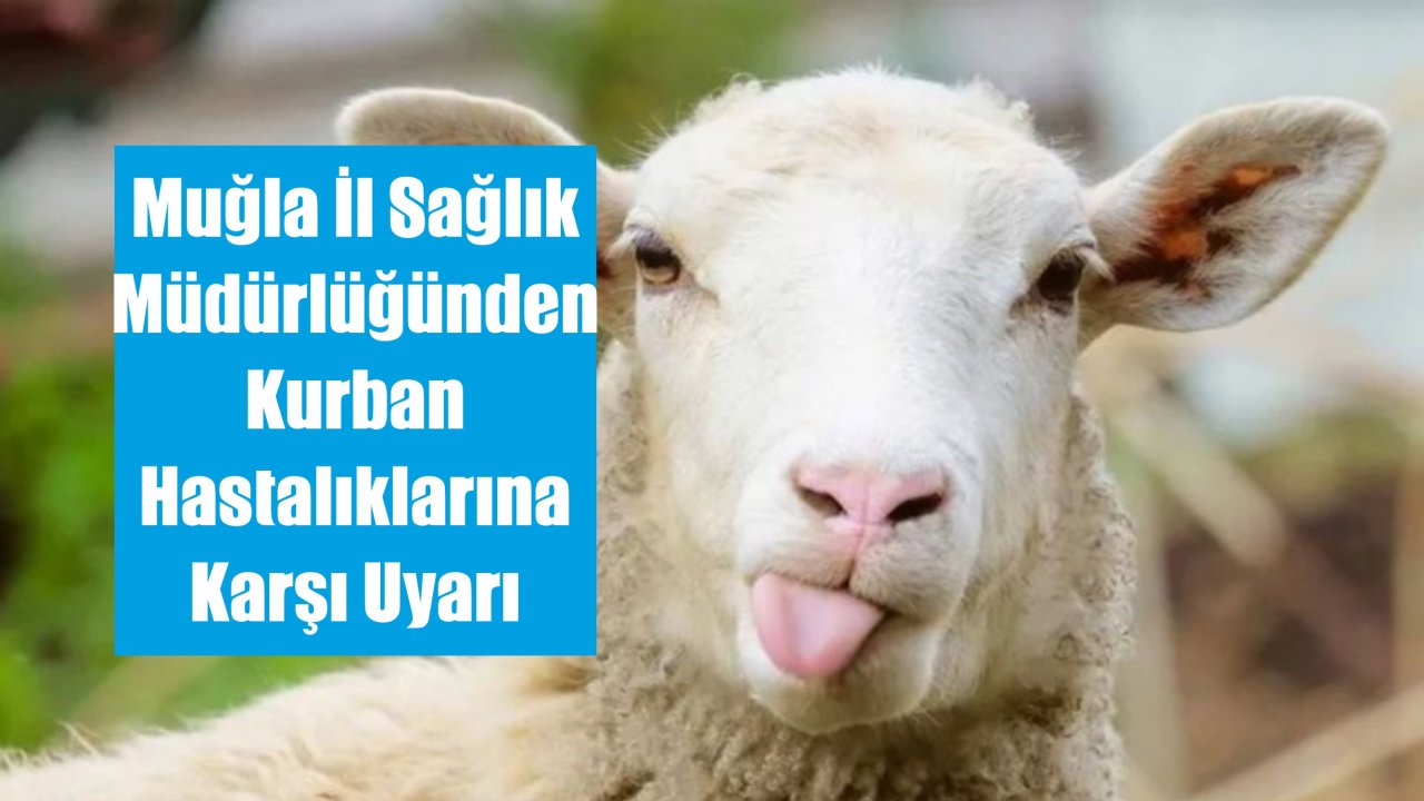 Kurban Hastalıklarına Karşı Uyarı