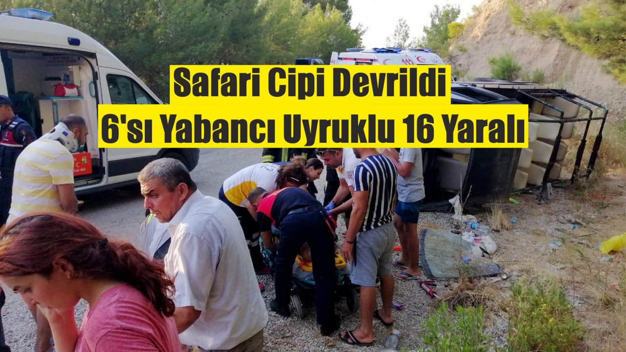 Safari Cipi Devrildi:16 Yaralı