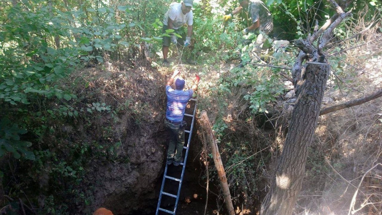 Kör Kuyuya Düşen Domuzlar Uzun Uğraşlar Sonucu Kurtarıldı