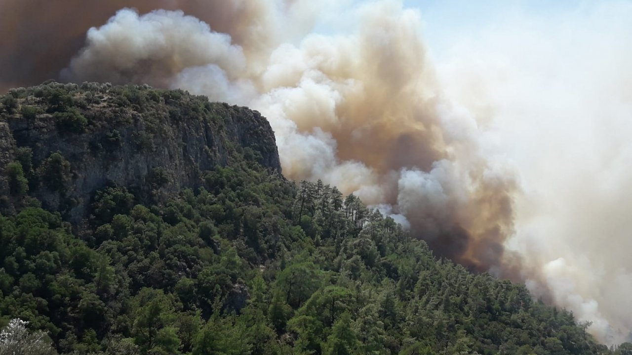 Milas’taki Orman Yangını Tarım Arazilerine Sıçradı  
