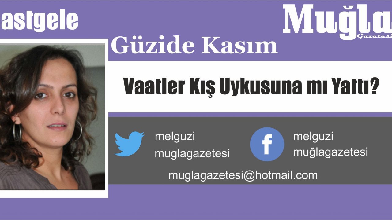 Vaatler Kış Uykusuna mı Yattı?