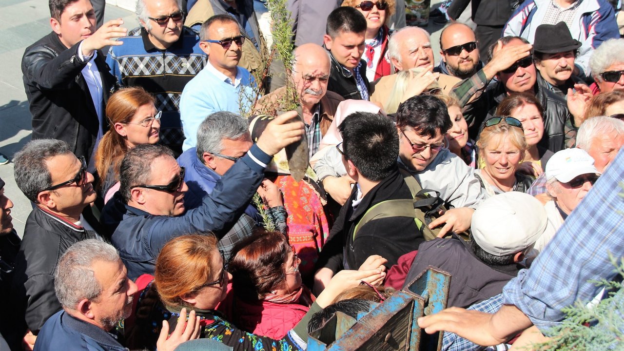 Bodrum’da fidan izdihamı