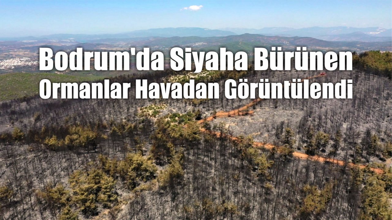 Bodrum'da Siyaha Bürünen Ormanlar Havadan Görüntülendi