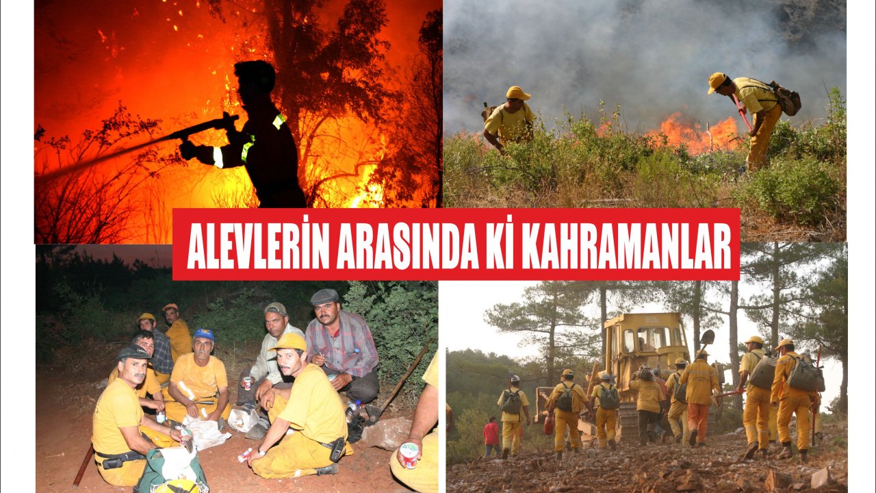 Ormanların Gizli Kahramanları