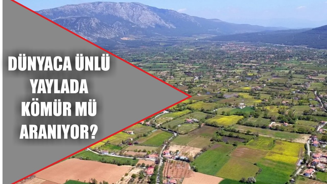 Muğla'da Bomba Etkisi Yaratan Olay!