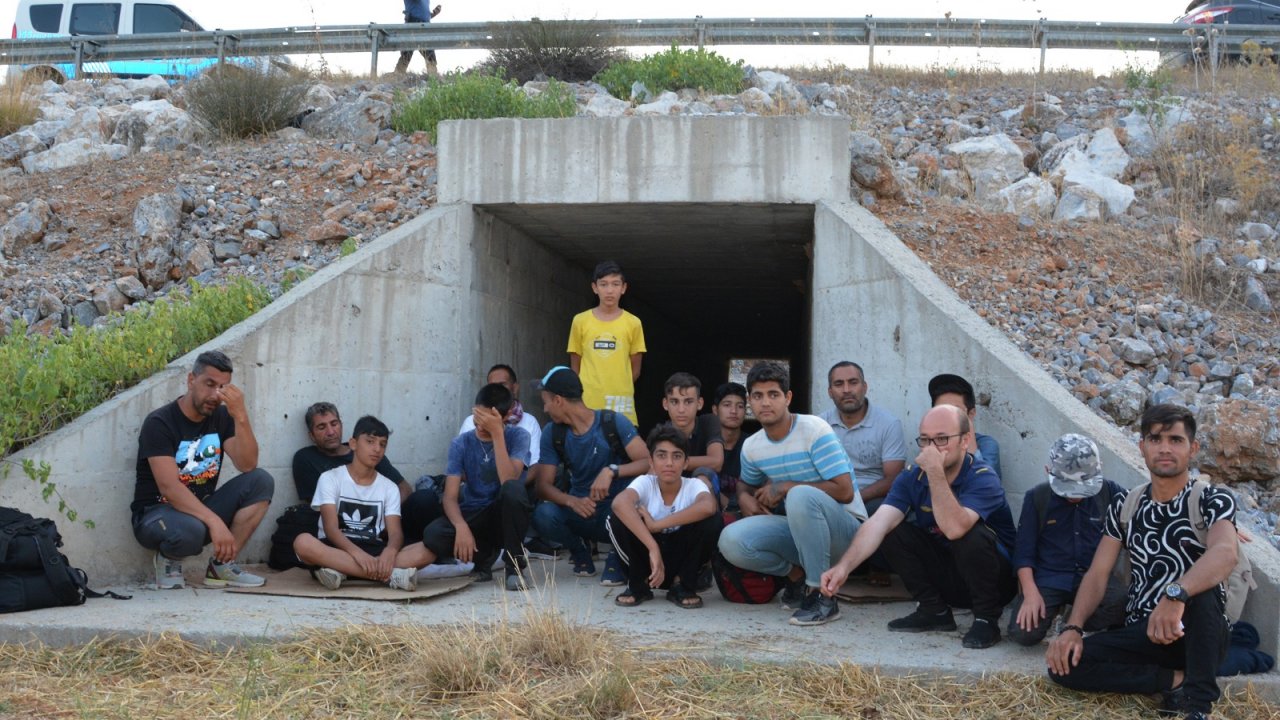 Filmdi, Gerçek Oldu