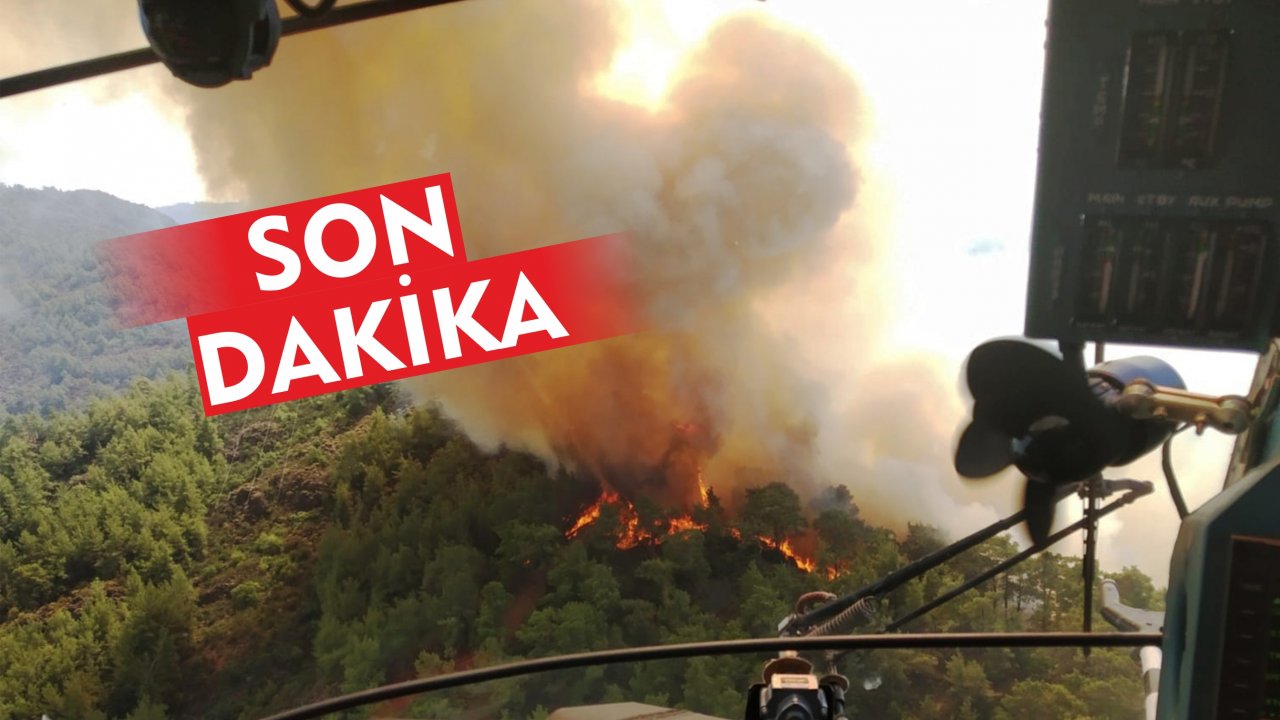 Marmaris’te Orman Yangını Başladı