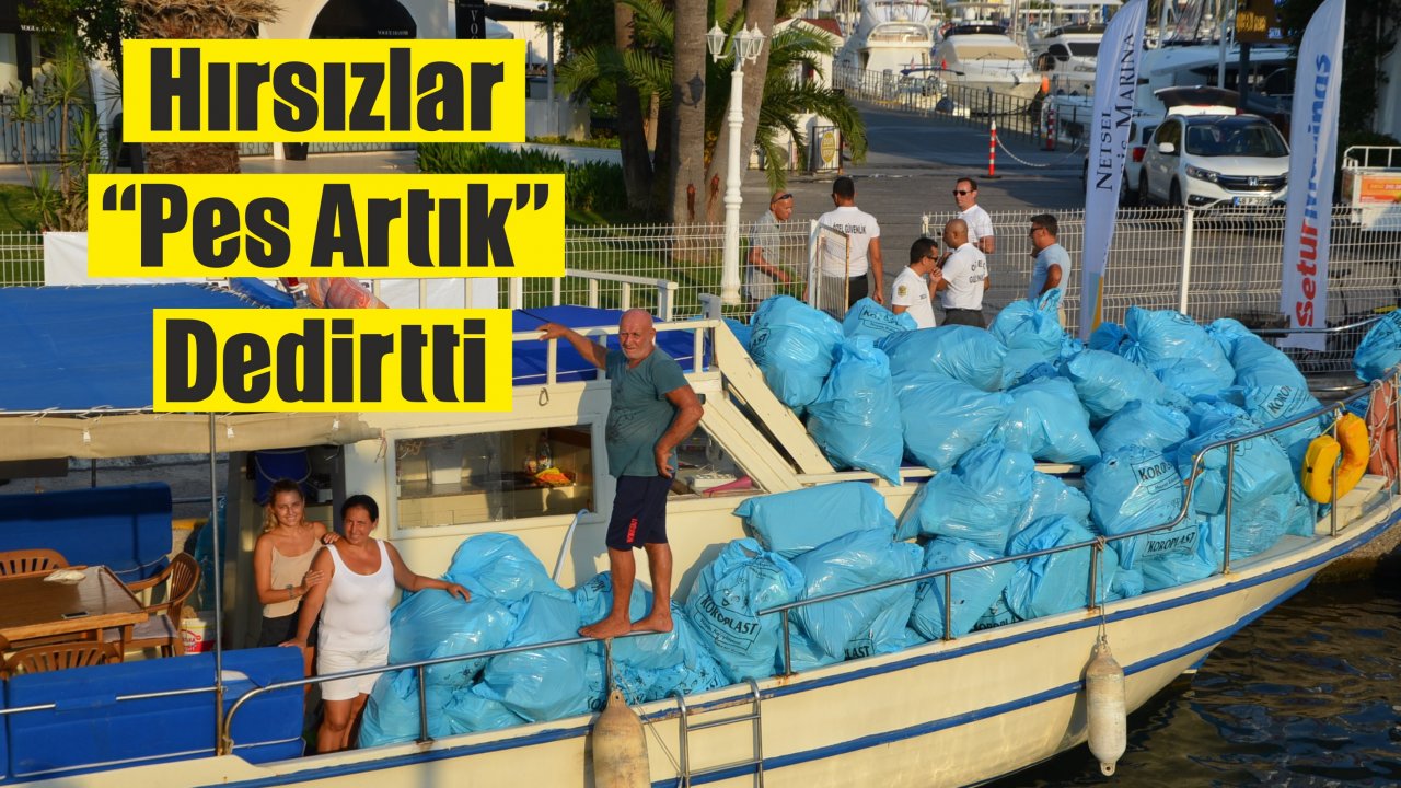 Hırsızlar Çöp Çaldı !  