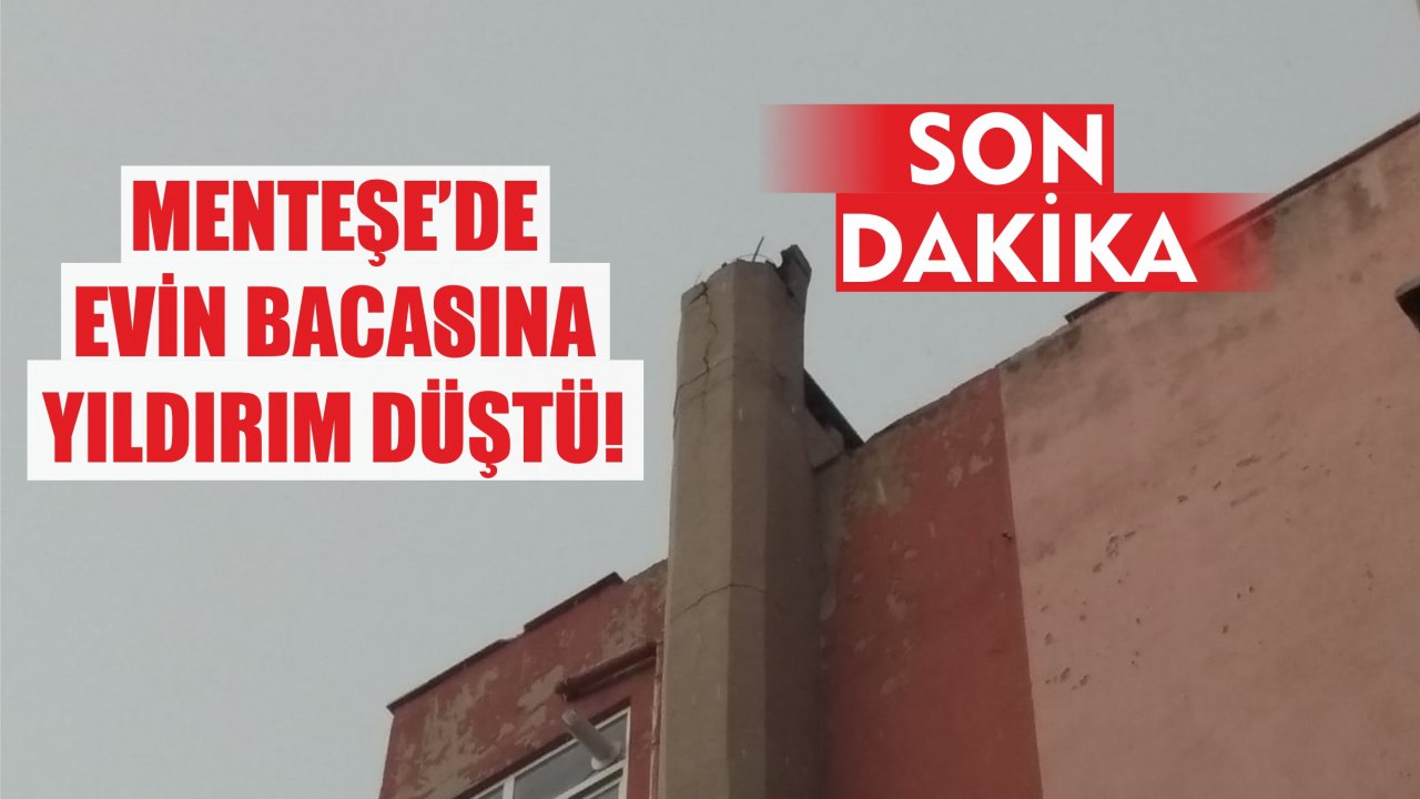 MENTEŞE'DE BACAYA YILDIRIM DÜŞTÜ