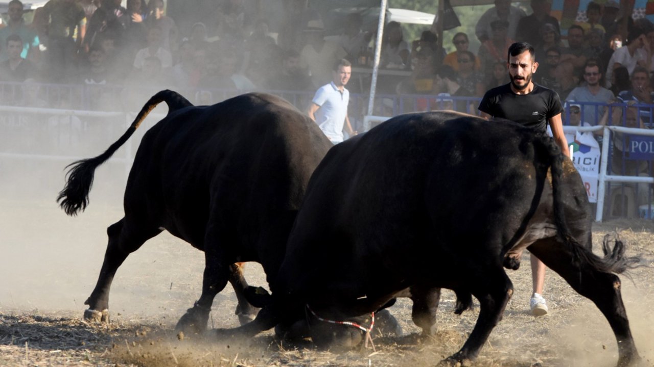 İspanya Değil, Muğla