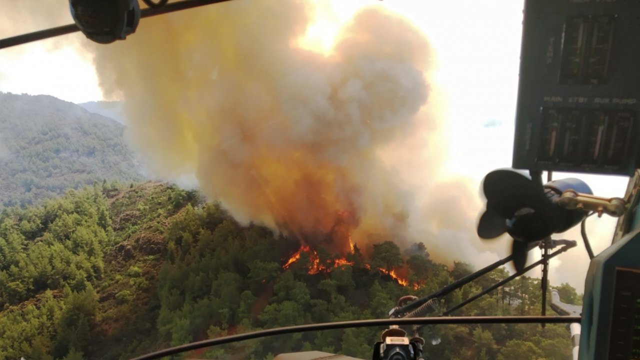 Marmaris’te BuYıl 35 Hektar Ormanlık Alan Yandı