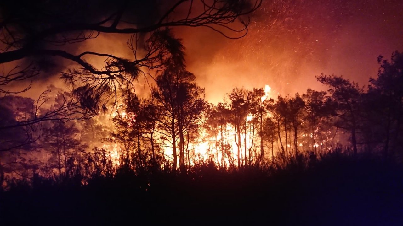 Ortaca’daki Yangına Şiddetli Rüzgar Nedeniyle Güçlükle Müdahale Ediliyor