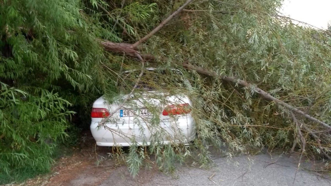 Fırtına Dalaman'ı Vurdu