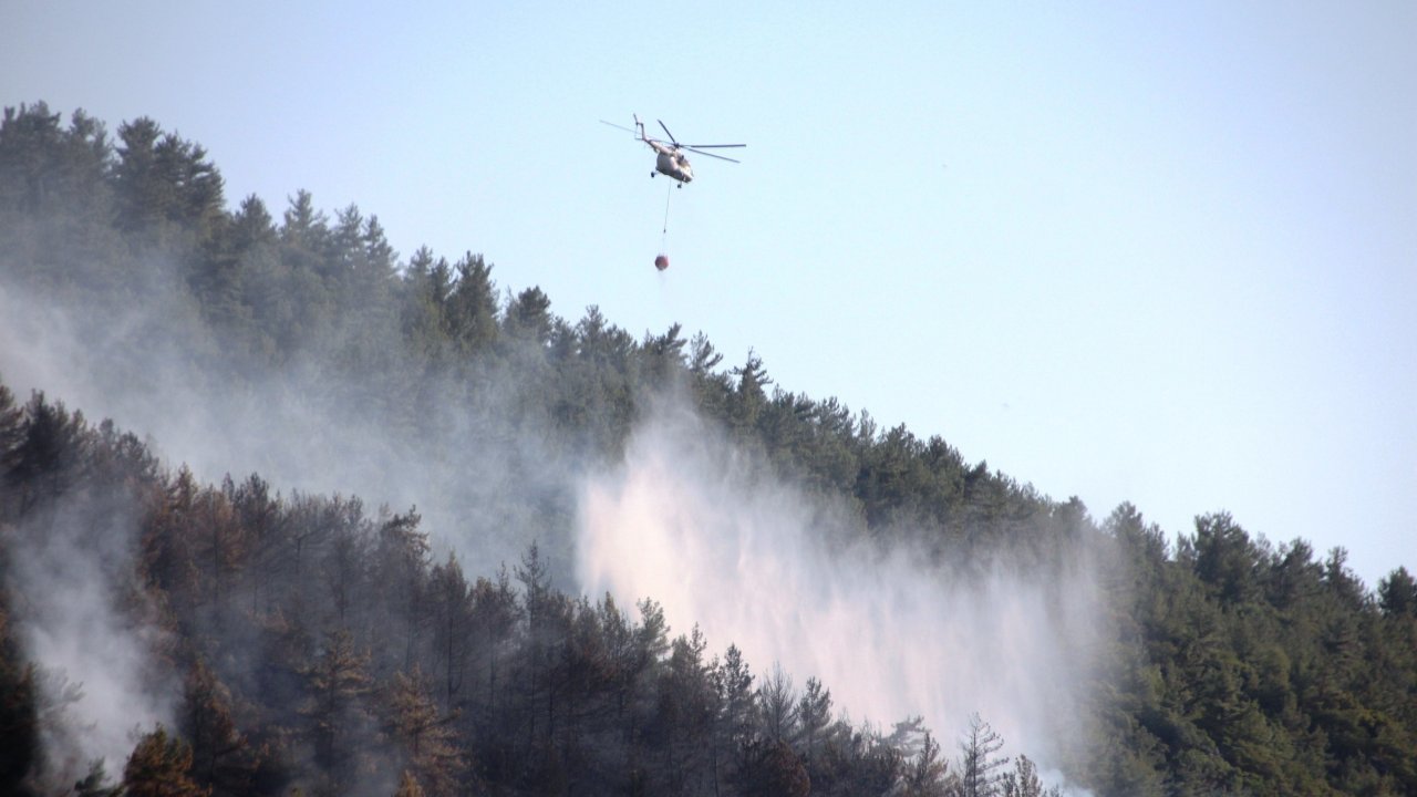 Bodrum'daki Orman Yangını Güçlükle Kontrol Altına Alındı