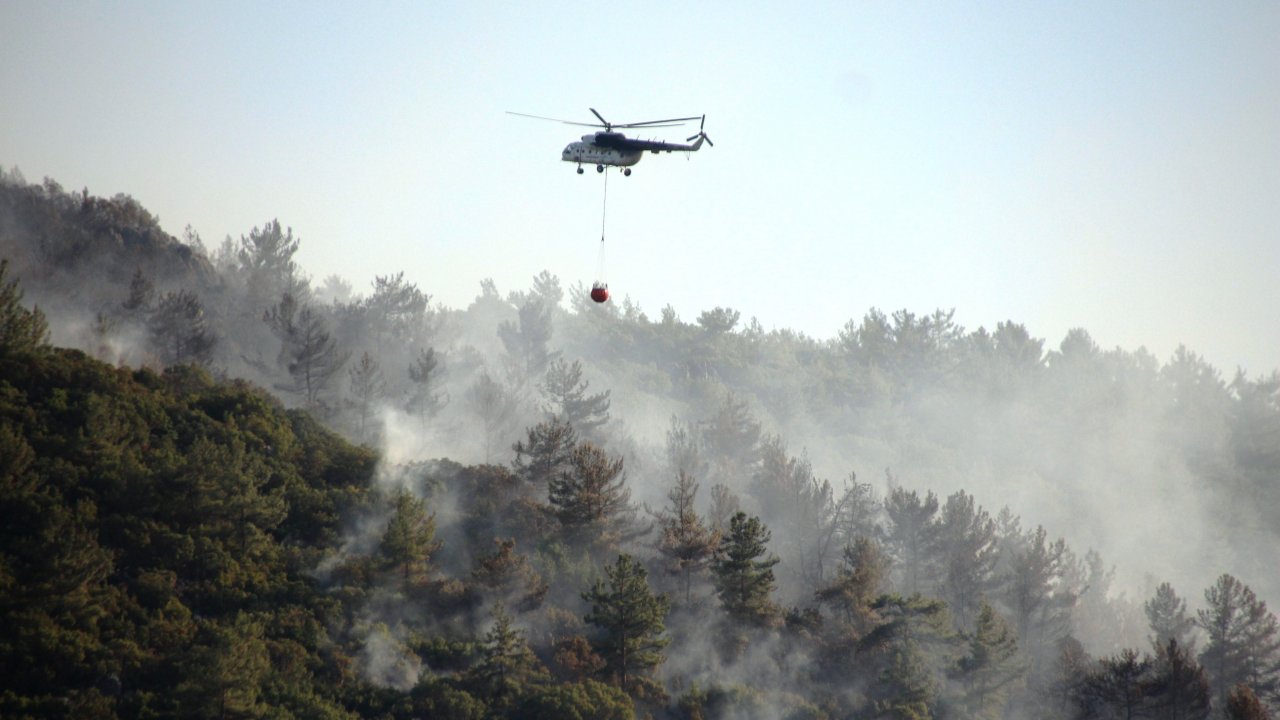 Tarım ve Orman Bakanlığı Bugün Çıkan Yangınlarla İlgili Açıklama Yaptı
