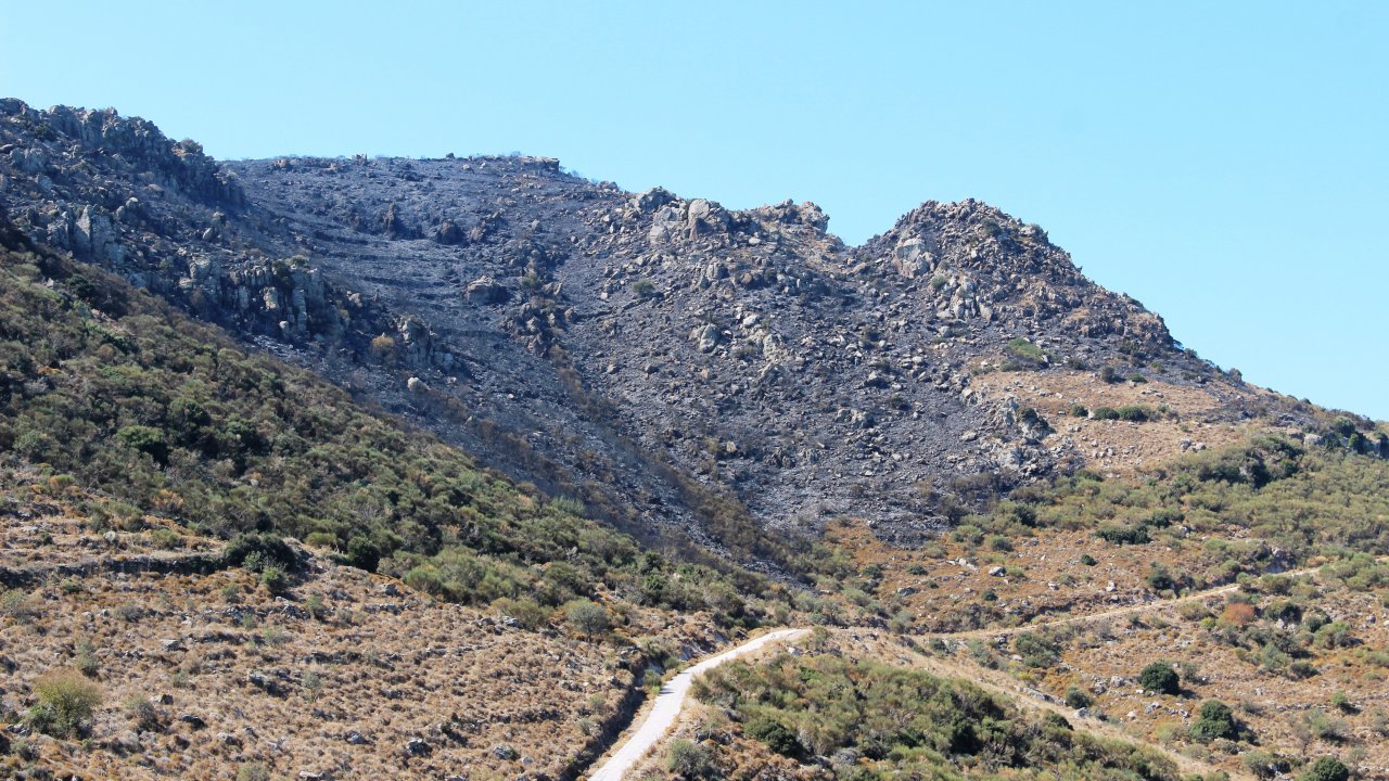 Acı Bilanço Gün Ağarınca Ortaya Çıktı