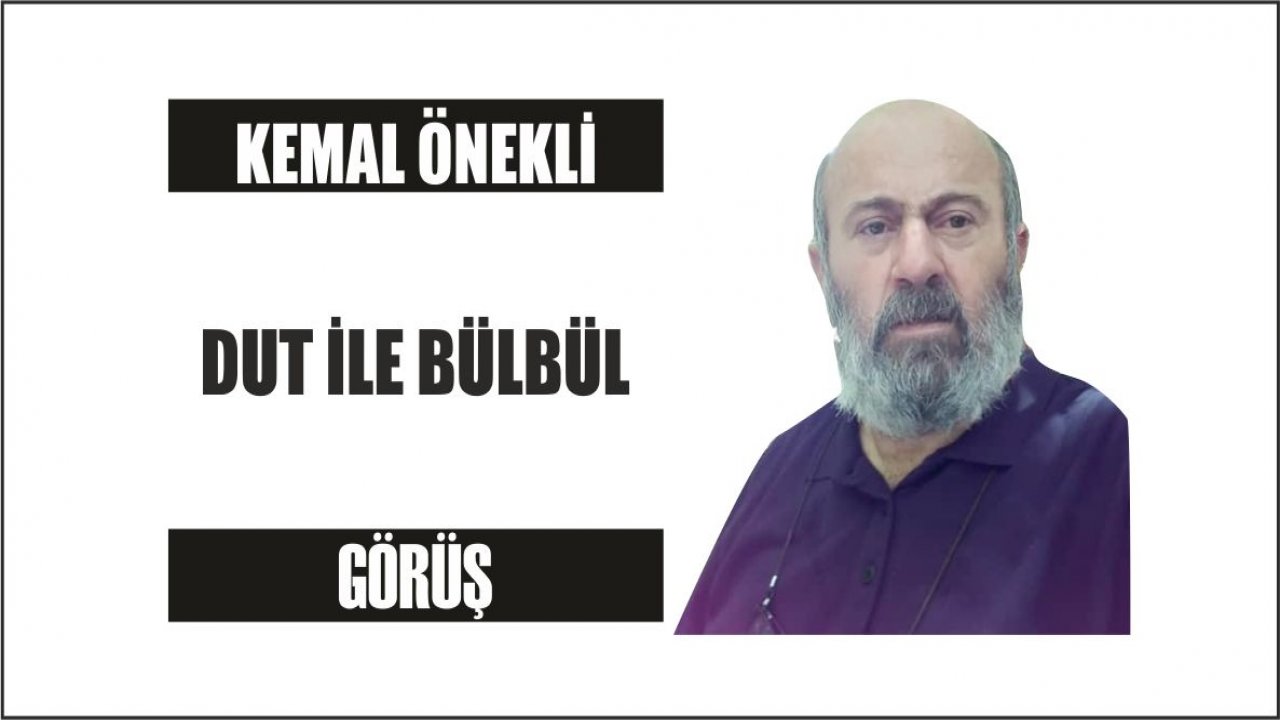 DUT İLE BÜLBÜL