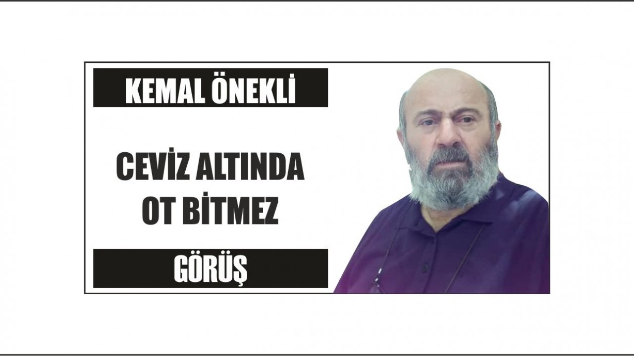 CEVİZ ALTINDA OT BİTMEZ