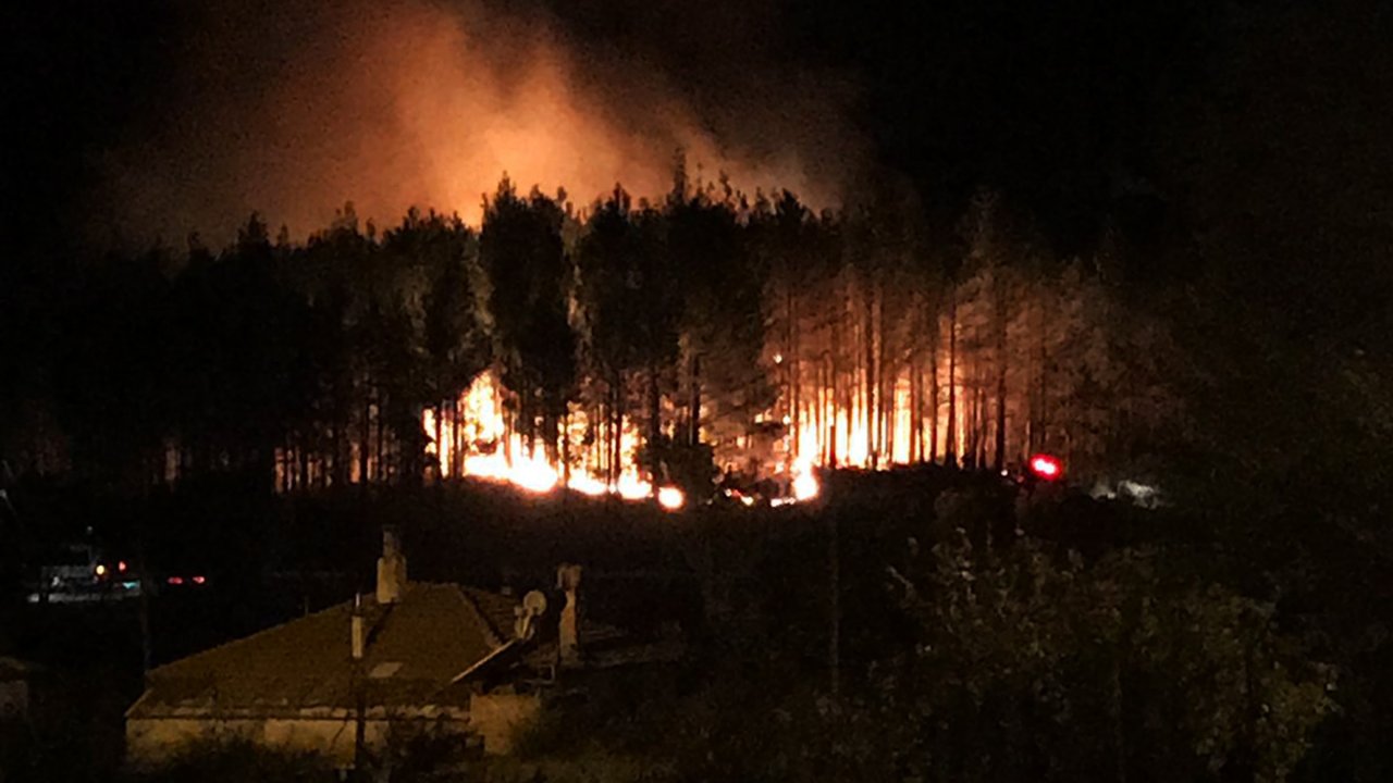 Muğla’da Orman Yangını