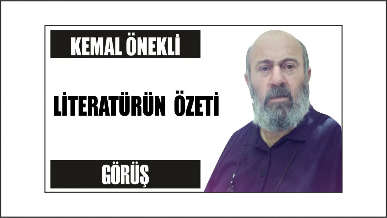 LİTERATÜRÜN  ÖZETİ