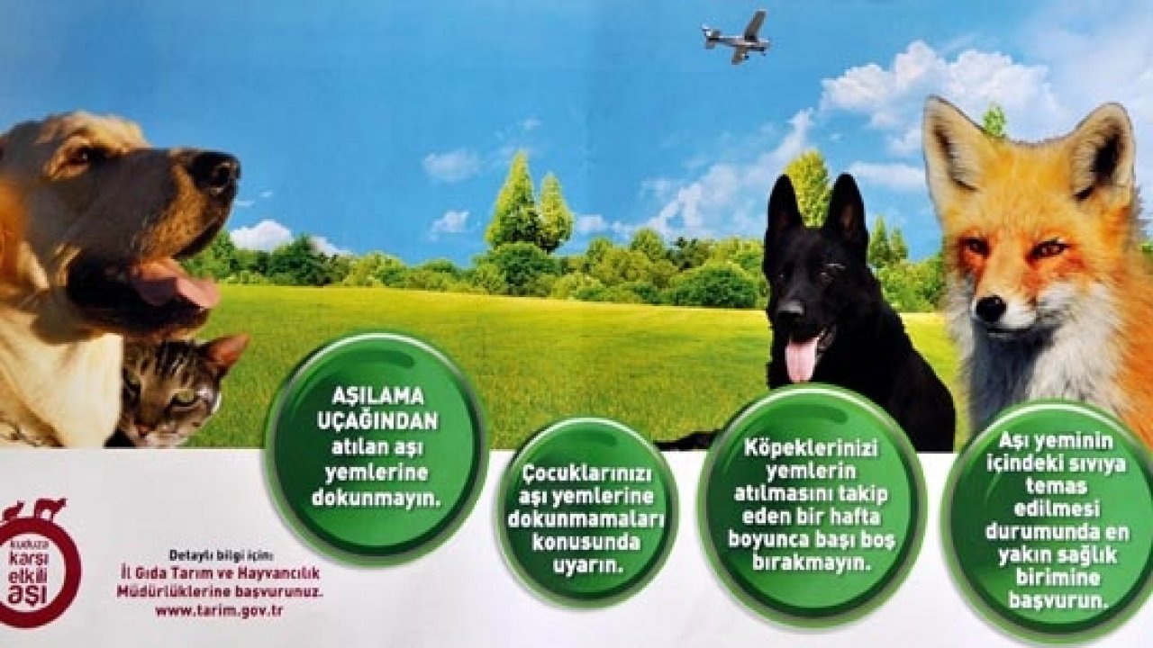 Yaban Hayatı Kaynaklı Kuduza Havadan Müdahale Başladı