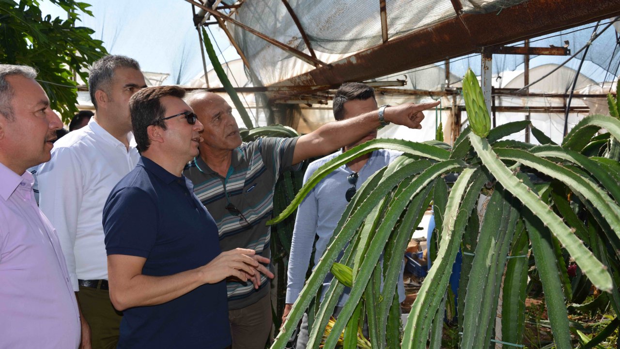 Ejder Meyvesini Heyet İnceledi