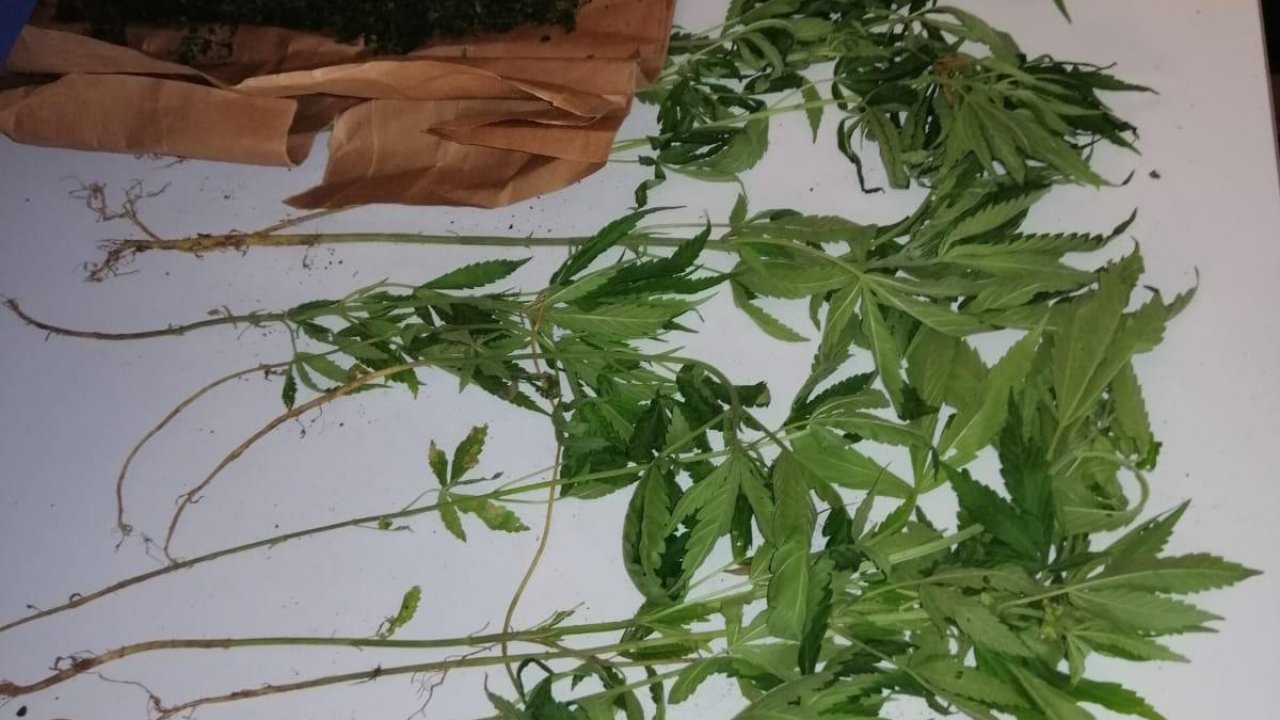 Baba ve Oğlu Uyuşturucu Operasyonunda Gözaltına Alındı